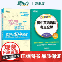 新东方 初中英语语法考点全解+歪歪的漫画书:疯狂的初中词汇 中考