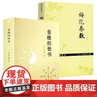 [2册]皇极经世书+ 梅花易数(故宫珍藏善本)梅花易数精解讲义周易邵氏学邵子易数书籍