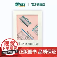 [新东方店]剑桥丝巾-粉色