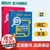 红宝书N2词汇+蓝宝书n2文法(详解+练习)许小明 新日本语能力考试n2 日语考试标准日本语初级 日语书籍 入门自学新