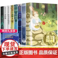 全8册纽伯瑞儿童文学奖金奖作品集胡桃木小姐兔子坡 dfwl中小学生课外书籍