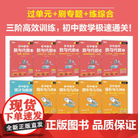 [新东方店]高效训练初中数学 七年级八年级九年级中考数学刷题同步代数几何统计辅导资料中考提分