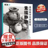 基础教学完美教程素描静物 敲门砖入门水果蔬菜陶瓷不锈钢塑料单体静物练习临摹范本联考校考美术正版自学教程教材书 重庆出版社