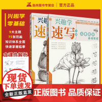 兴趣学速写从零起步基础教程上下册植物花卉动物铅笔素描临摹自学手绘画册静物训练手册美术生学画画教程初学者美术绘画