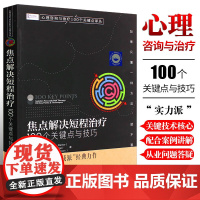 心理咨询与治疗100个关键点译丛 焦点解决短程治疗 100个关键点与技巧 化学工业出版社