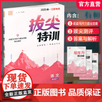 2025春 拔尖特训 语文 四年级下册 人教版 部编版 小学教辅 同步提优 精准提优 学生练习 通成学典4下高阶提优练习