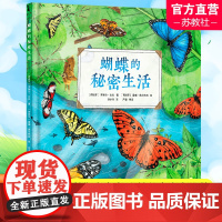 蝴蝶的秘密生活 人文科普科学自然知识教育 儿童读物童书绘本 精装全彩大开本 译林出版社