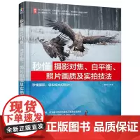 秒懂摄影对焦 白平衡 照片画质及实拍技法 雷波 光圈快门速度 ISO感光度曝光三要素概念及相关功能 对焦与色彩方面应用技