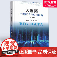 大数据关键技术与应用创新 第二版 数据处理 数据与数据管理技术 南京师范大学出版社