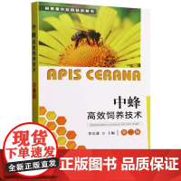 中蜂高效饲养技术 第二版 罗岳雄 中蜂的重要生物学特性和科学饲养管理技术着重实用性通俗性 广东省中蜂饲养为案例进行阐述