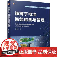锂离子电池智能感测与管理 魏中宝 锂离子电池智能感测技术 电动汽车储能技术 电池管理感测开发教程