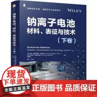钠离子电池 材料表征与技术 下卷 胡勇胜 谢飞 智能电动汽车新能源汽车储能技术应用书籍 锂离子电池