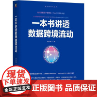 一本书讲透数据跨境流动 林梓瀚著 从理论与实践双重角度讲解数据跨境流动 数据库书籍