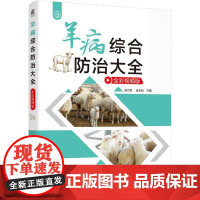 羊病综合防治大全 全彩视频版 袁万哲金东航著 直观展示羊病特征锁定病因科学防控养羊增效案头指南 动物医学书籍