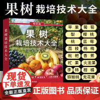 果树栽培技术大全果树种植技术葡萄枇杷柑橘樱梨桃荔枝苹果李猕猴桃杨梅香蕉火龙果病虫害防治果树整形修剪书籍家庭果树栽培入门