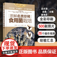图解名贵珍稀食用菌栽培食用菌栽培技术羊肚菌种植书籍名贵菌种选择与制作栽培管理病虫害防治加工工艺流程工作科技研究人员参考书