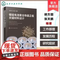锂硫电池聚合物基正极关键材料设计 胡方圆 锂硫电池研究锂硫二次电池工作原理发展历程研究现状技术难点 高等学校材料化学类教