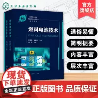燃料电池技术 段春艳 氢燃料电池产业新技术 教学做一体化工作手册 高职院校氢能技术应用教材燃料 电池技术工艺工程师学习用