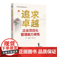 追求卓越 企业项目化管理能力修炼 任一 潘海涛 刘均炜 企业项目化管理系列丛书