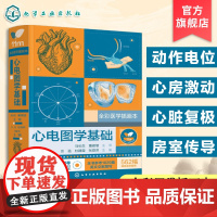 心电图学基础 心电图形成基本原理 标准心电图术语 标准心电图测量 心脏应用解剖 心脏电生理基础 心血管心电学专业临床医师