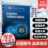 机器视觉与图像处理基础 凌志刚 视觉成像获取方式 图像视觉处理编程基础常见算法 普通高等院校电子信息工程计算机本科研究生
