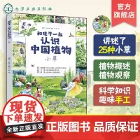 正版 和孩子一起认识中国植物 小草 植物科属花期果期分布区域外貌特征 精美写实的手绘图 儿童小学生植物科学知识科普图书籍