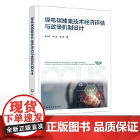 煤电碳捕集技术经济评估与政策机制设计 国内外CCUS技术最新进展 规模化示范项目案例 技术经济评估参考 能源行业政策制定