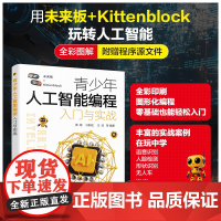 青少年人工智能编程入门与实战 人工智能入门 Kittenblock在线人工智能项目 未来板与人工智能 离线型人工智能 中