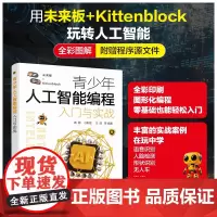 青少年人工智能编程入门与实战 人工智能入门 Kittenblock在线人工智能项目 未来板与人工智能 离线型人工智能 中