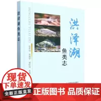 精装 洪泽湖鱼类志 陈宇顺 张胜宇 谢松光 编 洪泽湖鱼类渔业生态介绍 洪泽湖地理环境渔业发展 淮河流域鱼类形态特征生活