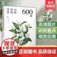 600种郊野植物图鉴 常见植物野外识别 植物大百科 野外实拍彩图 树形枝叶植物花卉种子观察图鉴风景郊野旅游植物科普大全手