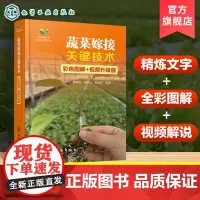 蔬菜嫁接关键技术 彩色图解 视频升级版 蔬菜嫁接方法 蔬菜嫁接育苗准备 蔬菜嫁接苗管理 手把手教会掌握蔬菜嫁接关键技术指
