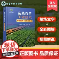 蔬菜育苗关键技术 彩色图解 视频升级版 蔬菜育苗过程中各项关键技术 蔬菜种子检验与种子处理方法 掌握蔬菜育苗关键技术指导