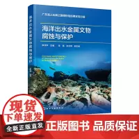 海洋出水金属文物腐蚀与保护 南海I号 金属文物除锈方法 金属文物有害盐脱除方法 海洋出水金属文物缓蚀技术 金属文物的封护