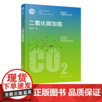 二氧化碳加氢 碳中和关键技术丛书 CO2加氢技术概论 CO2加氢催化剂制备 表征与评价方法 碳中和领域研究人员CO2资源