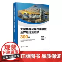 大型集群化煤气化装置生产运行及维护300问 煤气化基础知识 生产准备与试车 生产操作与维护 设备运行与维护 电气与仪表基
