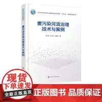 重污染河流治理技术与案例 河流严重污染成因 点源污染和面源污染河流治理技术 河流生态修复技术 重污染河流治理绩效评估参考