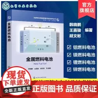 金属燃料电池 先进电化学能源存储与转化技术丛书 金属燃料电池技术及关键材料 电化学新能源技术 电催化材料成果 高校专业参