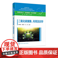 二氧化碳捕集 利用及封存 国内外CCUS领域相关政策 项目与技术现状 CCUS各环节典型技术清单及发展路径 CCUS技术