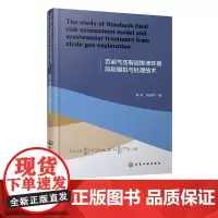 页岩气压裂返排液环境风险模拟与处理技术 英文版 聚焦页岩气开发 油气田环境保护技术开发研究技术人员 高校相关专业师生参考