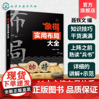 象棋实用布局大全 聂铁文 中国象棋棋谱 布局原则 运子要诀棋类知识 布局形式对应对抗招式 象棋爱好者指导入门教程一本通象