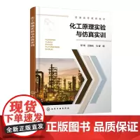 化工原理实验与仿真实训 邱琦 化工原理实验基础知识 基础实验 仿真实训 高等院校化工及相关专业化工原理实验课工程实训环节