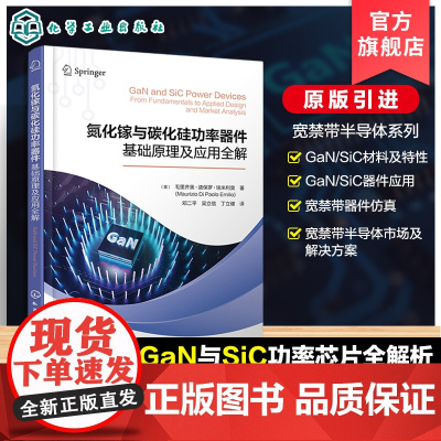 氮化镓与碳化硅功率器件 基础原理及应用全解 氮化镓与碳化硅半导体原理 制造工艺与特性表征 市场现状及关键应用设计方法参考