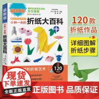 小林一夫的折纸大百科 折纸教程书高难度折纸书大全成人书籍手工生动折纸艺术儿童高级diy教学教材日本三角插组合初级入门零基