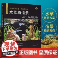 给热带鱼打造一个海底世界 水族箱造景从入门到精通水族箱鱼缸造景入门教程书时尚生活水草造景艺术栽培造景水草造景书水景制作