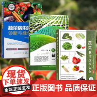 [全3册]蔬菜栽培技术大全+图解蔬菜育苗一本通+蔬菜病虫害诊断与绿色防控 蔬菜栽培育苗病虫害防控技术大全 育苗智能化管理