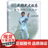 85式杨式太极拳意气势练习及用法 安在峰 杨式太极拳武术研究养生气功健身书籍 杨氏陈式太极拳真传形意拳套路太极内功述真书