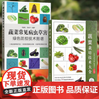[全2册]蔬菜栽培技术大全+蔬菜常见病虫草害绿色防控技术图谱 科学施肥指导蔬菜种植技术书 蔬菜病虫害诊断与防治栽培技术书