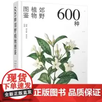 600种郊野植物图鉴 常见植物野外识别 植物识别大百科 野外实拍彩图 树形枝叶植物花卉种子观察图鉴风景郊野旅游植物科普大