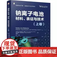 钠离子电池 材料表征与技术 上卷 胡勇胜 谢飞 智能电动汽车新能源汽车储能技术应用书籍 锂离子电池